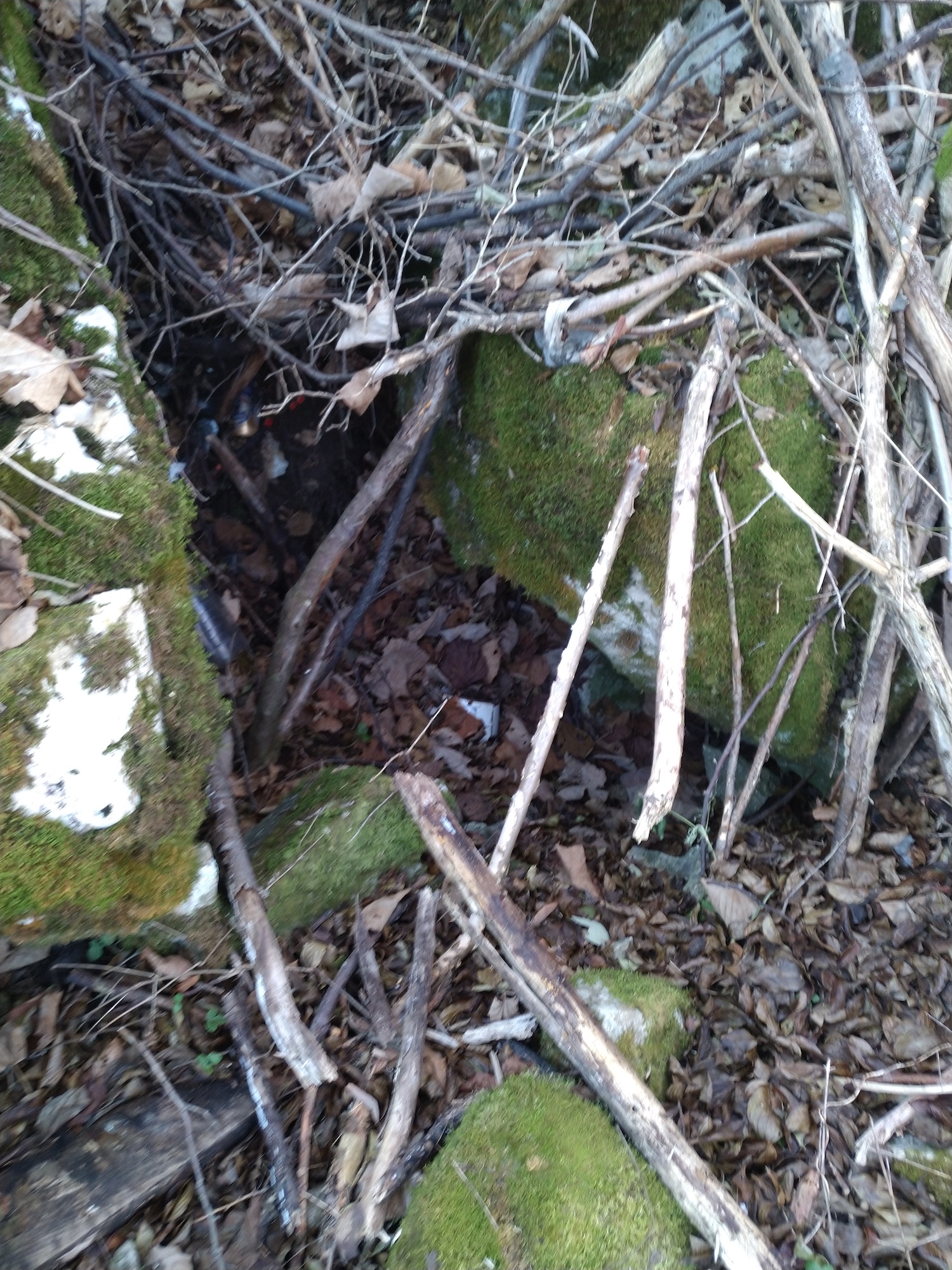 Avenul din Șosea - Image 2